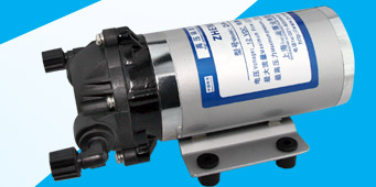 DP微型電動隔膜泵